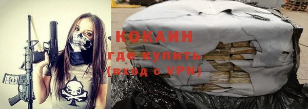 дмт Богданович