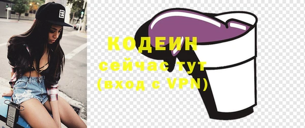 дмт Богданович