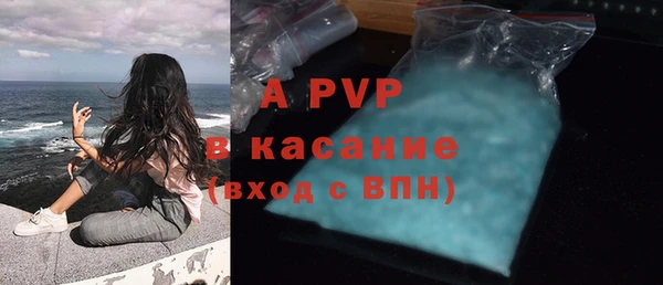 ECSTASY Богородицк