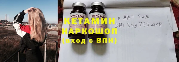 дмт Богданович