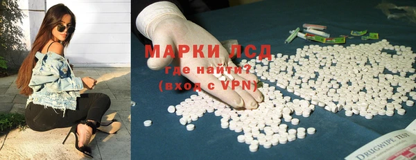 гашик Белокуриха