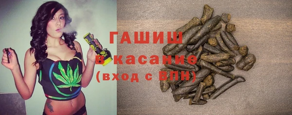 дмт Богданович
