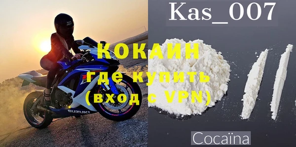 ECSTASY Богородицк