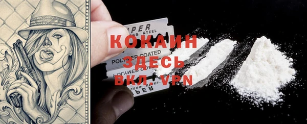ECSTASY Богородицк