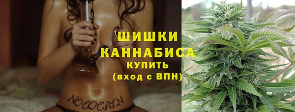ECSTASY Богородицк
