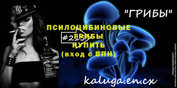 гашик Белокуриха