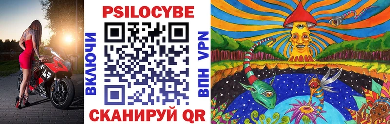 Псилоцибиновые грибы Psilocybe  Купить где  Михайлов 